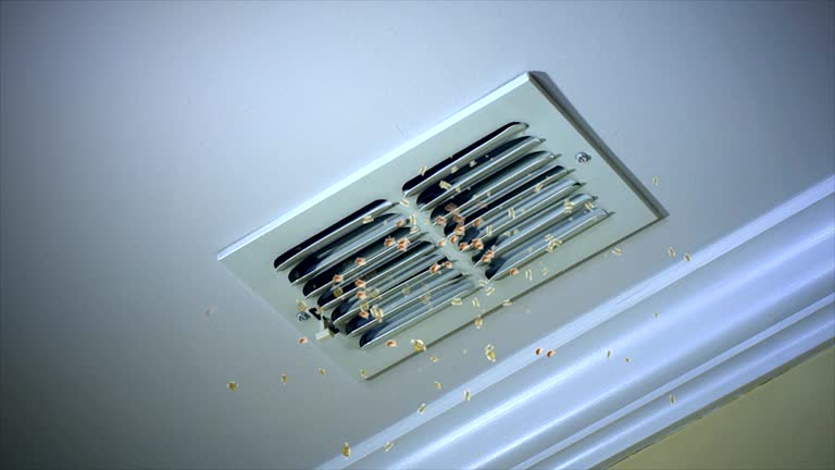 Best Air Duct Cleaning Near Me  in Cohoe, AK